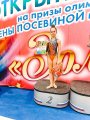 Спортивные соревнования Сергиево-Посадского городского округа по художественной гимнастике «На призы Олимпийских чемпионок Ирины Беловой и Елены Посевиной»