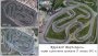 17 октября 1971 года в Курске состоялось открытие первого в России картодрома.