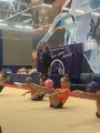 Мастер-класс по художественной гимнастике заслуженных мастеров спорта, призеров Олимпийских игр, чемпионок России, Мира и Европы Дианы и Арины Авериных